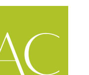 Antiques Council