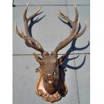 Black Forest Carved Elk Head Preview