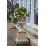 Pair of English Cast Iron Garden Urns Preview