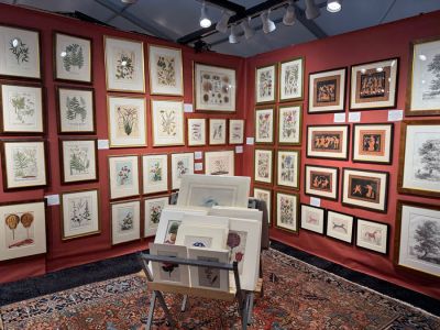 D M DeLaurentis Fine Antique Prints